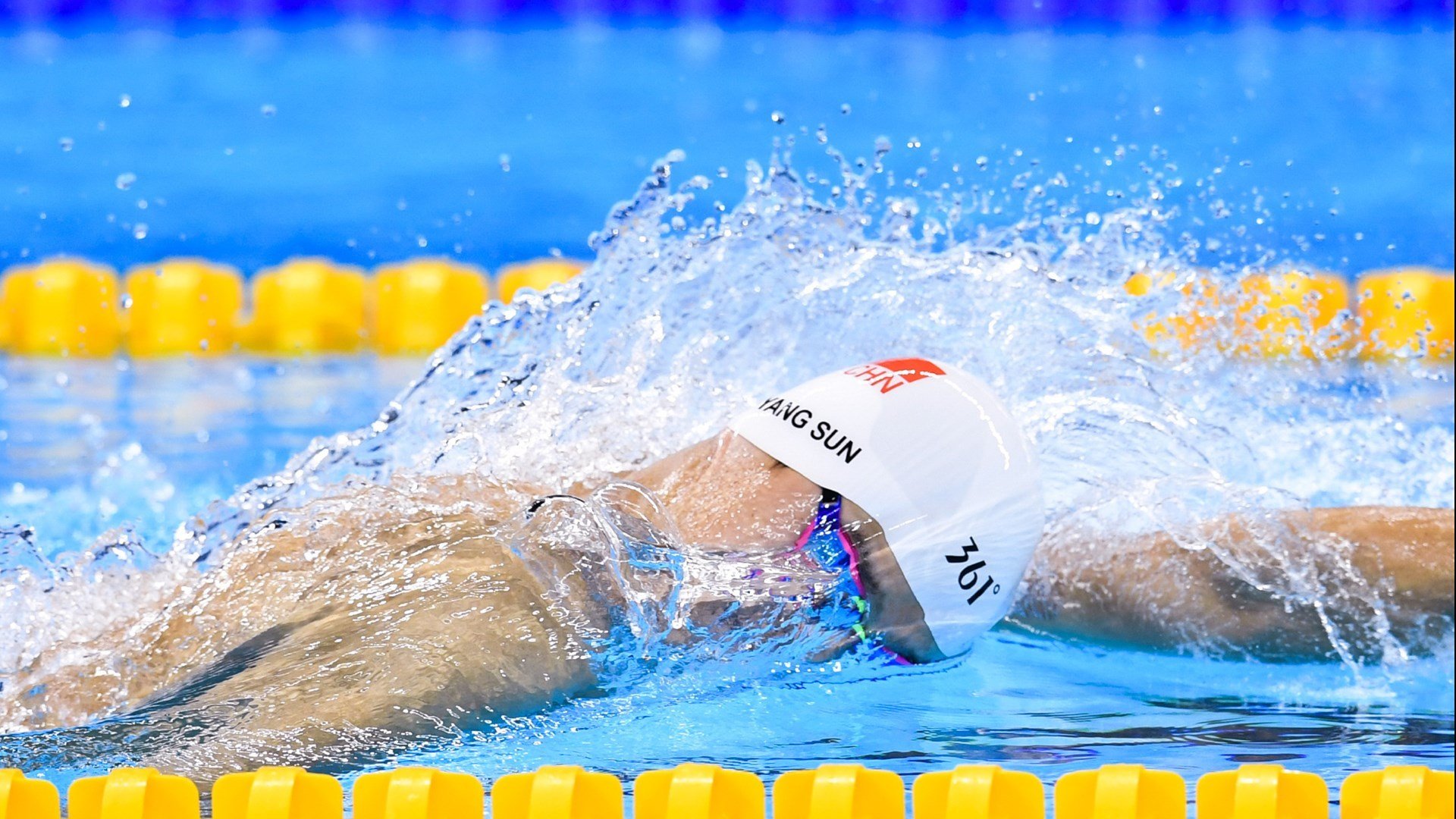 哥伦比亚马术协会设立马匹福利基金，支持马匹退休生活。，哥伦比亚马甲